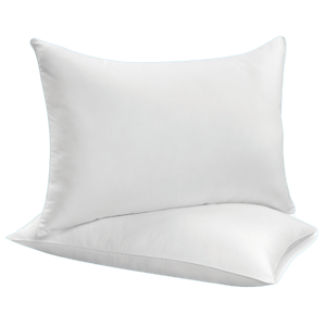 Softique Standard Bed Pillows